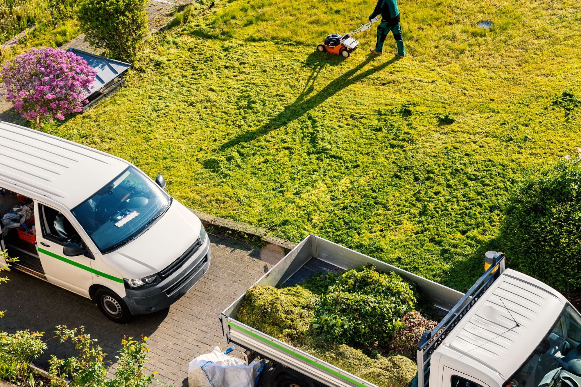 Cleaning & Gardening Services